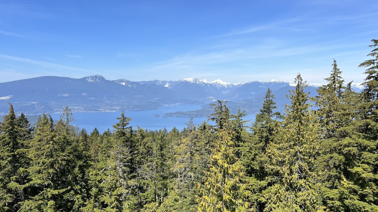A view of a forest with evergreen trees in the foreground, a lake in the middle, and snow-capped mountains in the background under a blue sky.