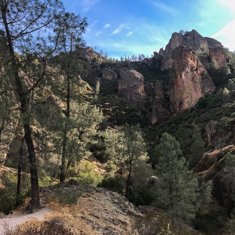 Rocky cliffs and pine trees under a blue sky in a mountainous landscape.