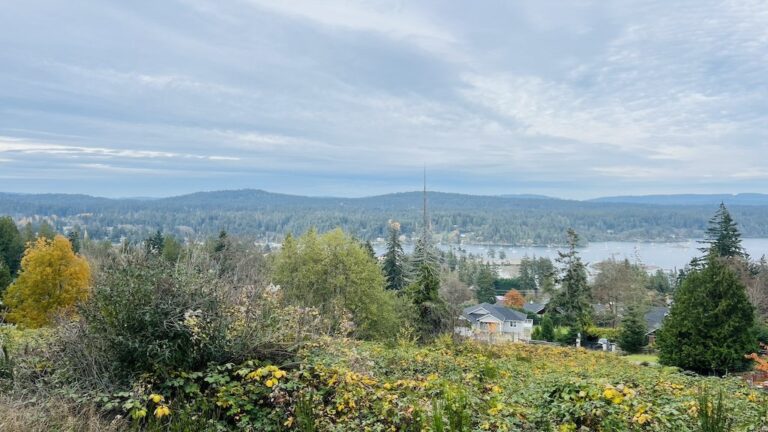 A hillside view on Salt Spring Island with trees, houses, and a lake under cloudy skies—perfect for your next travel getaway guide.