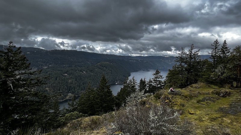 Cloudy sky over a forested valley with a river, viewed from a mossy hilltop where a person sits near the edge.