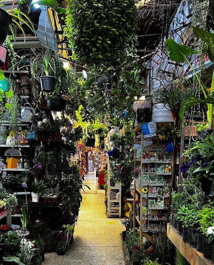 A narrow aisle in a plant shop filled with potted plants, hanging greenery, and shelves of gardening supplies.