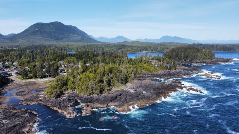 A rocky Tofino coastline with dense evergreen forest, ocean waves, and distant mountains under a clear blue sky.