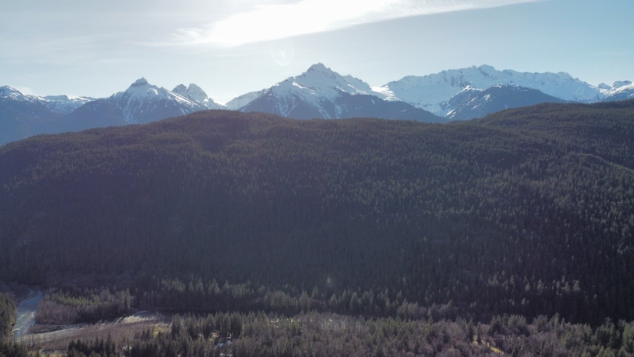 Dense forest covers rolling hills with snow-capped mountains in the background under a clear sky.