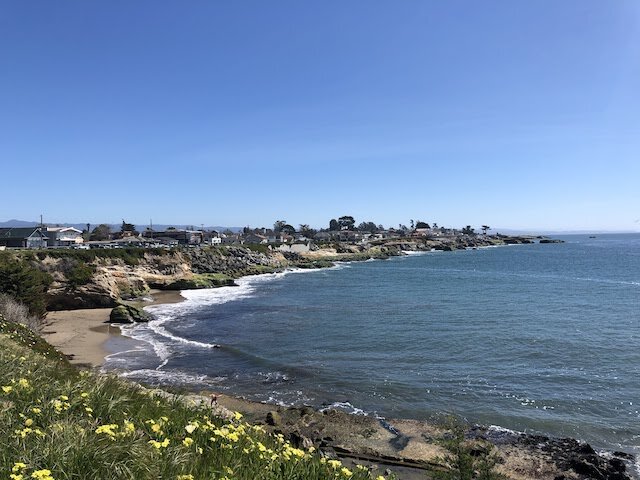 View of a coastal shoreline with houses, rocky cliffs, and wildflowers under a clear blue sky.