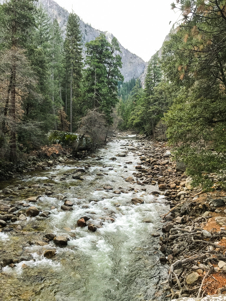 A rocky river flows through a forested valley with tall pine trees and mountains in the background.