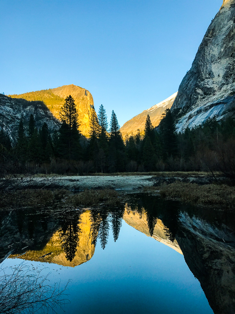 Clear blue sky over mountains, pine trees, and their reflection in a calm, still body of water at sunset.
