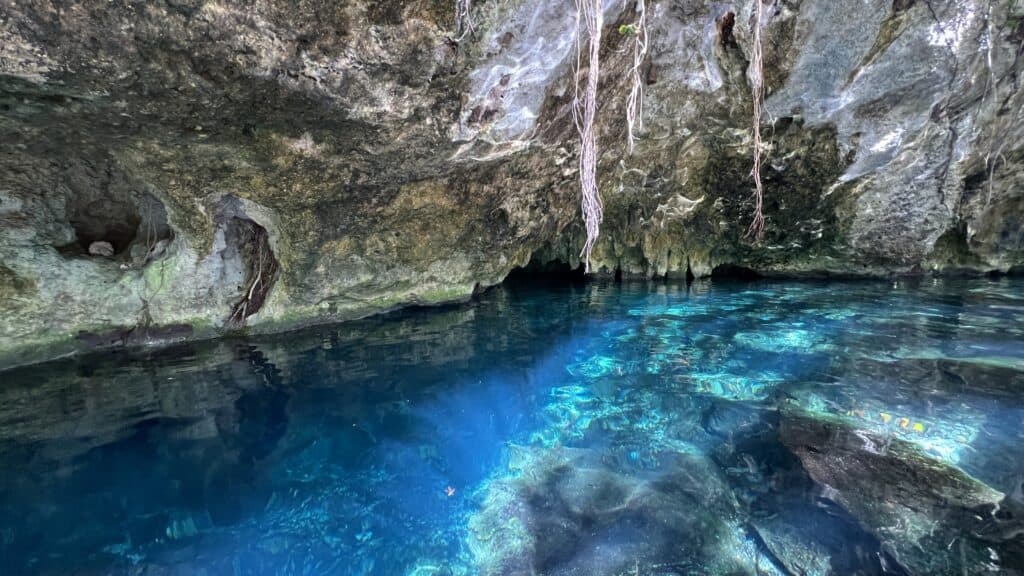 Clear blue water inside a rocky cave with hanging roots, illuminated by natural light—a hidden gem for your Tulum travel adventure.
