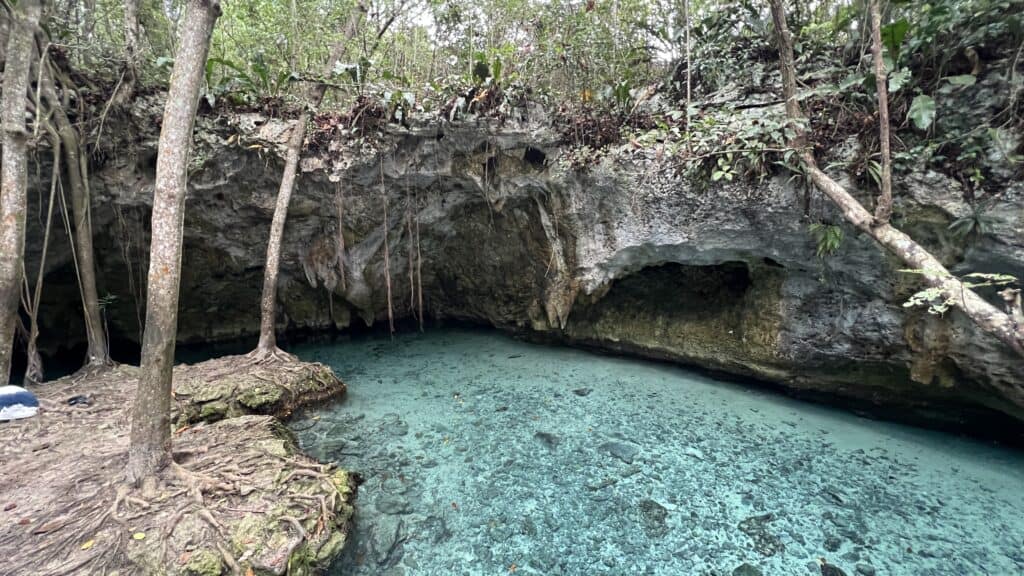 Crystal clear blue water in a natural rocky cenote near Tulum, surrounded by dense forest—perfect for your next travel guide adventure.