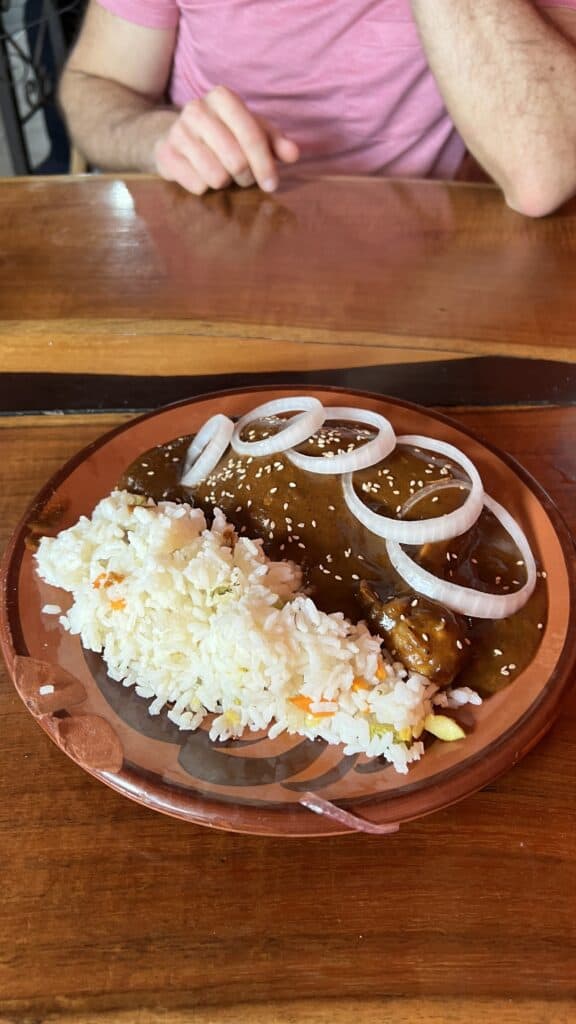 A plate with white rice, mixed vegetables, and chicken in dark mole sauce—a delicious taste of Tulum for your next travel guide.